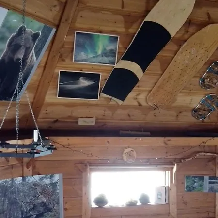 Camping Wilderness Hut Without Electricity *