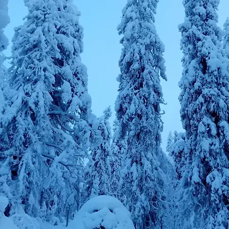 Camping Wilderness Hut Without Electricity Syöte